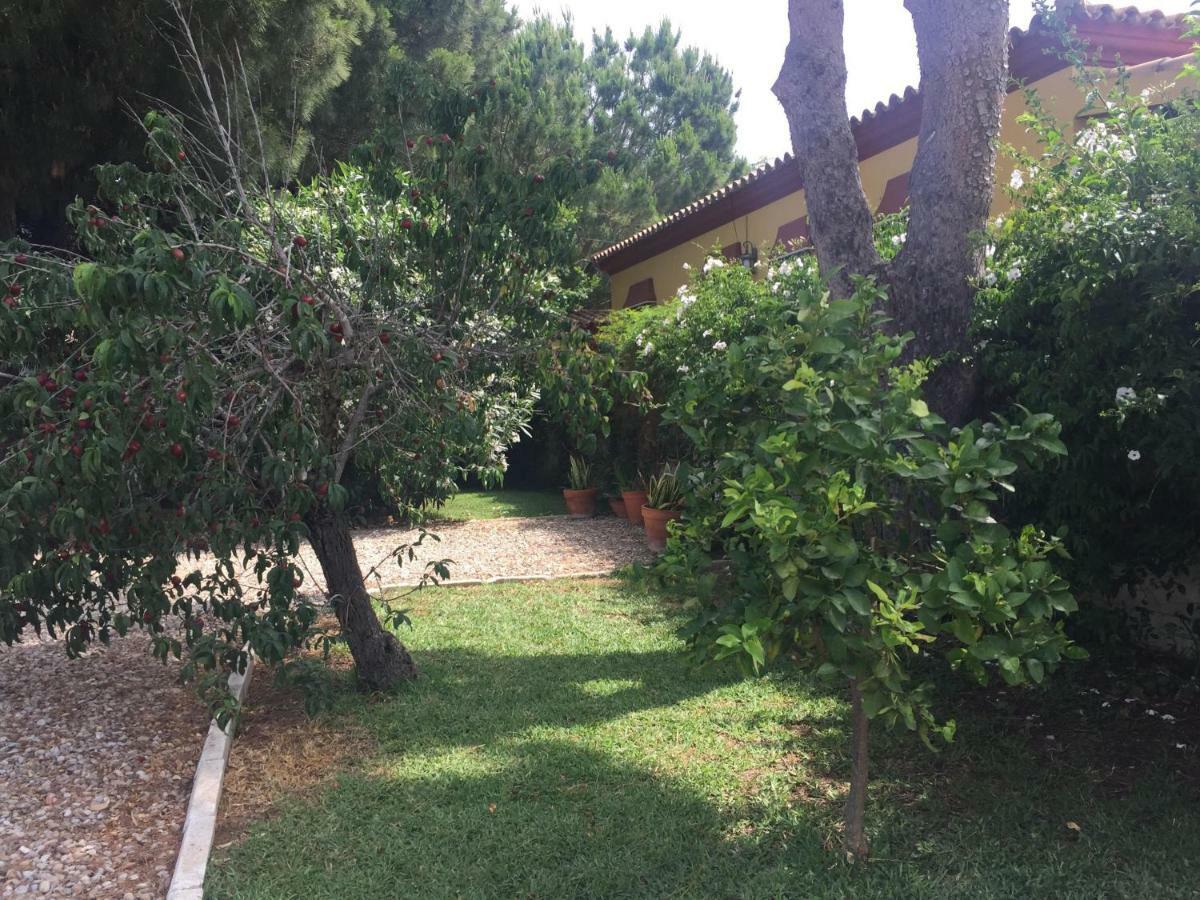 Villa Girasoles Chiclana de la Frontera Exterior foto